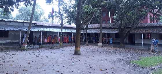 image-here